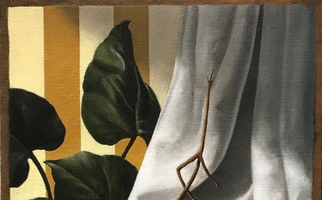 <strong>Citrus, leaves shadows</strong> <span class="dims">20x14”</span> oil on linen